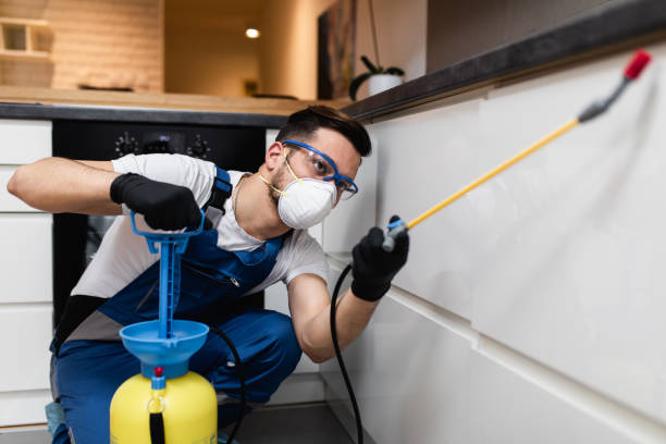 Best Best Pest Control Companies  in Monroe, MI