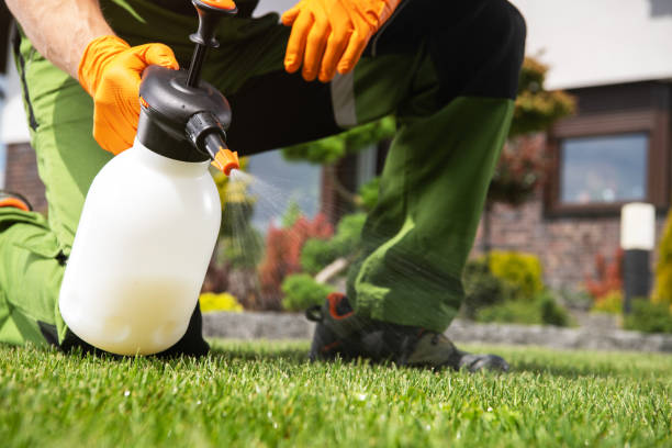 Best Pest Control Near Me  in Monroe, MI