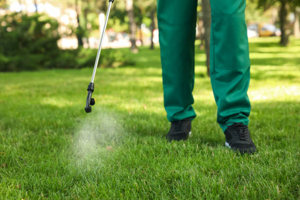 Best Rat Extermination Near Me  in Monroe, MI