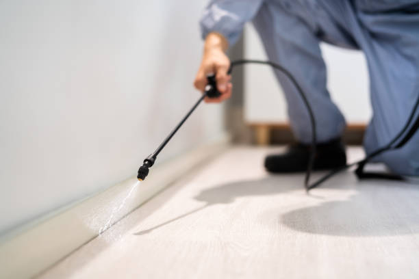 Best Flea Control Services  in Monroe, MI