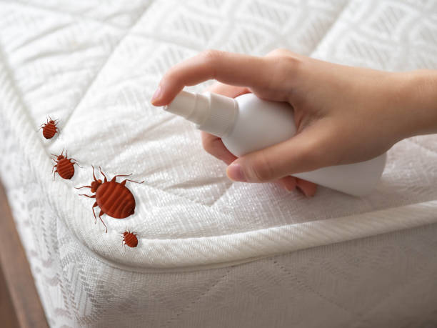 Best Pest Removal Services  in Monroe, MI