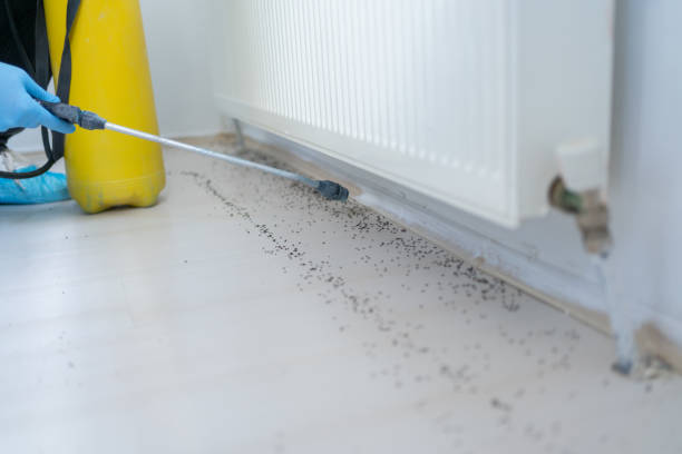  Monroe, MI Pest Control Pros